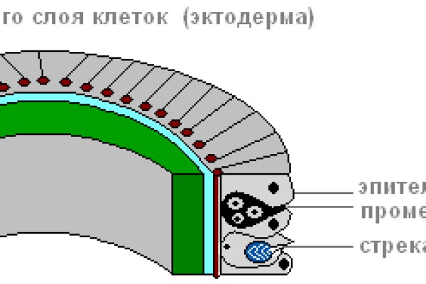 Kra25cc