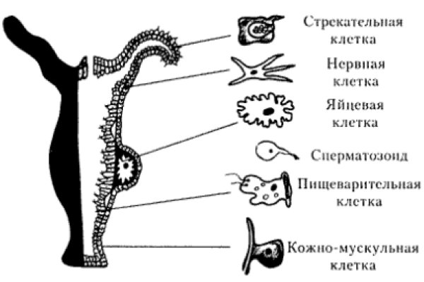 Kra10.gl