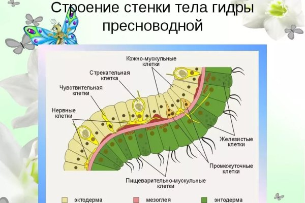 Кракен что можно купить