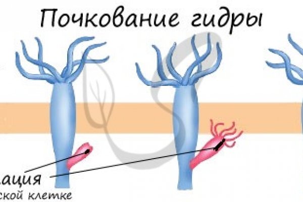 Ссылки на кракен com